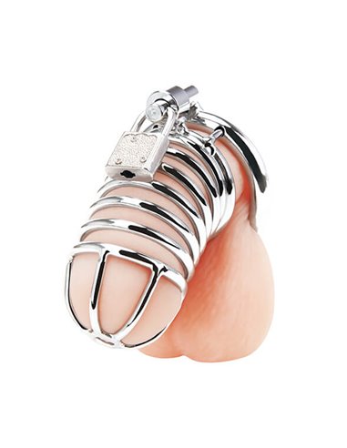 BlueLine Deluxe Chastity Cage 