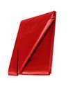 WetPlay PVC Bedsheet 210 x 200 cm Red