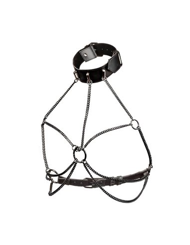 CalExotics Chain Collar Harness