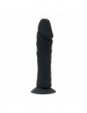 Rimba Exchangeable dildo with sucking cup