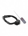 Master Series Elektro halsband met afstandsbediening
