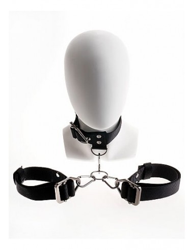 Pipedream Sir Richard’s Command cuff and collar