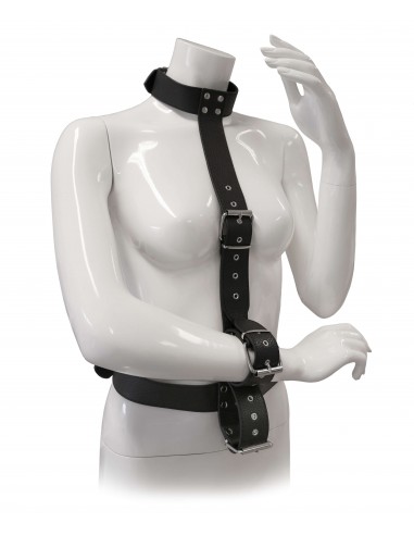 Dreamtoys Blaze restraint body harness with collar