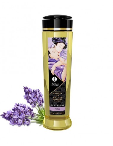 Shunga Massage olie Sensation Lavender 240 ml