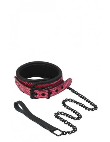 DreamToys Blaze collar & leash pink