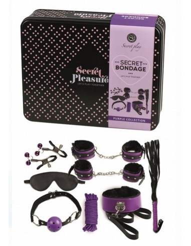 Secret Pleasure Bondage kit two colours purple
