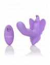 CalExotics Butterfly remote Rocking penis