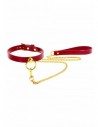 Taboom O-ring collar and chain leash