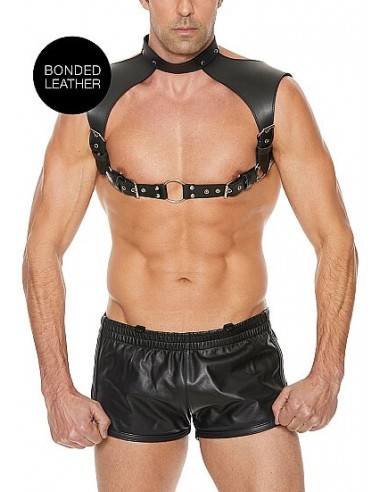 Ouch Men harness with neck collar One size black