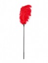 Guilty Pleasure Large Feather tickler red