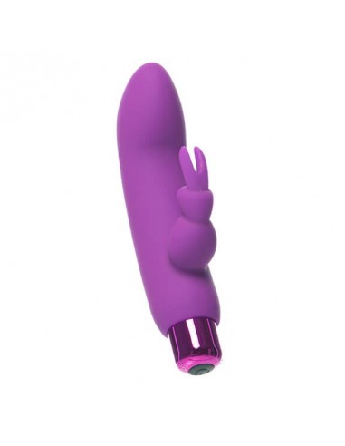 PowerBullet Alice’s bunny vibrator 10 functions purple