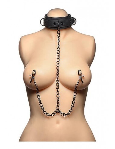 Master Series Collared temptress collar with nipple clamps
