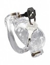 Master Series Double lockdown locking customizable chastity cage clear