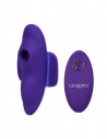 CalExotics Remote suction panty teaser purple