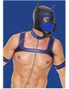 Ouch Puppy play Neoprene puppy Kit Blue L/XL