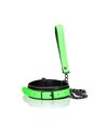 Ouch Collar and leash Glow in the dark Neon
