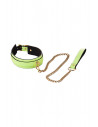 Dreamtoys Radiant Collar and leash Glow in the dark Green