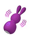 FemmeFun Bunny massager Purple